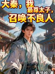 大秦，我，最尊太子，召唤不良人