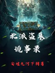 北派盗墓诡事录