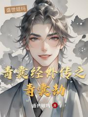 青囊经外传之青囊劫