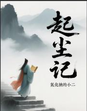 起尘记