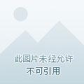 出马仙笔记