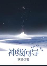 神级向导