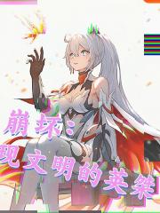 崩坏：现文明的英桀