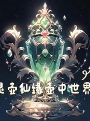 灵壶仙缘壶中的世界