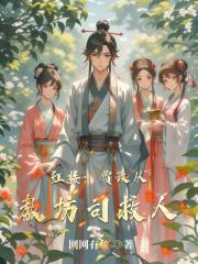 红楼：贾政从教坊司救人