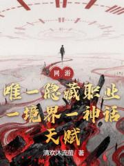 唯一隐藏职业，一境界一神话天赋