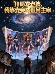 开局发老婆，我靠妻妾成银河主宰