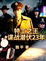 特工之王谍战潜伏23年