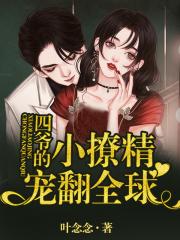 四爷的小撩精宠翻全球 四爷的小撩精宠翻全球