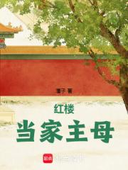 红楼当家主母