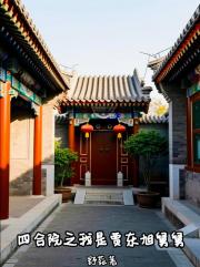四合院之我是贾东旭舅舅