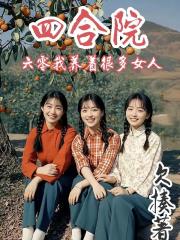 四合院六零我养着很多女人