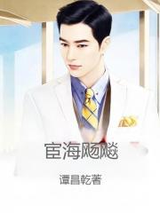 宦海飏飚