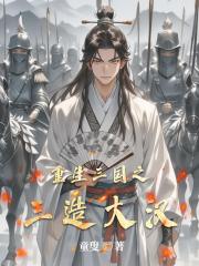 重生三国之三造大汉