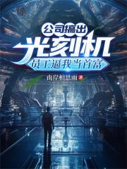 公司搞出光刻机，员工逼我当首富