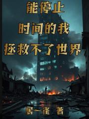能停止时间的我拯救不了世界