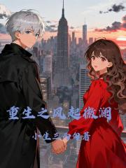 重生之风起微澜