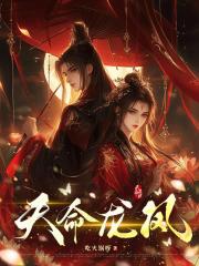 天命龙凤