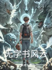 无字书风云