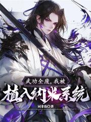 武功全废，我被植入纳米系统